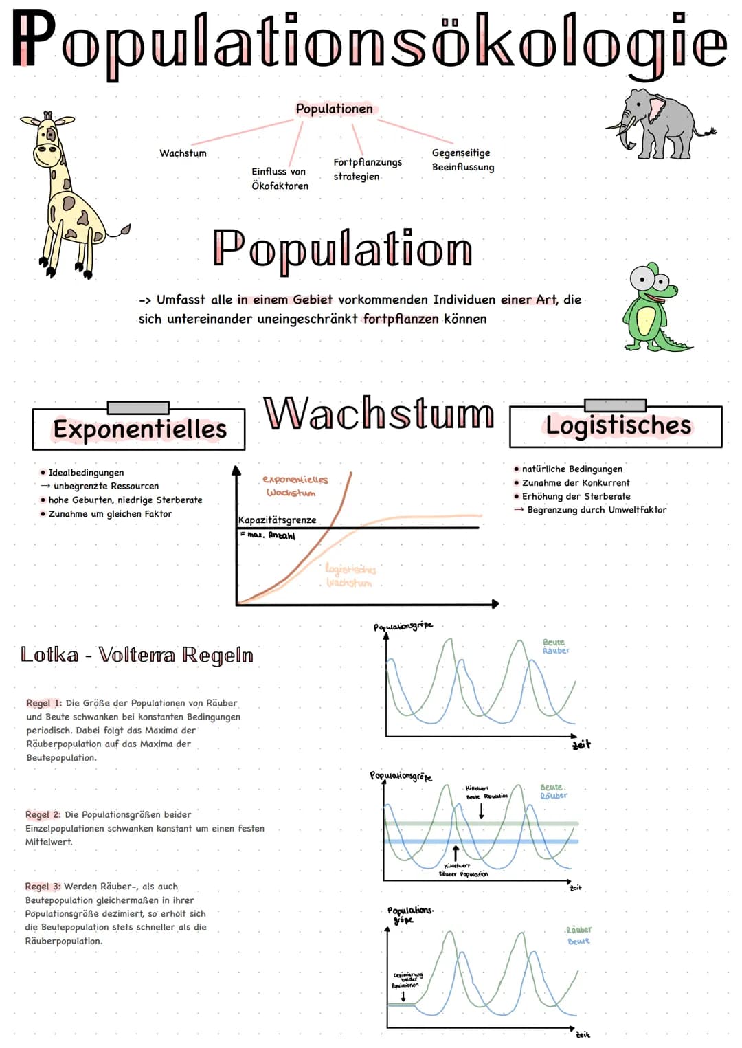 Populationsökologie
r- Strategen
Lebewesen mit großer Nachkommenzahl bzw. hoher
Wachstumsrate r. ihrer Populationen und oft kurzer
Lebensdau