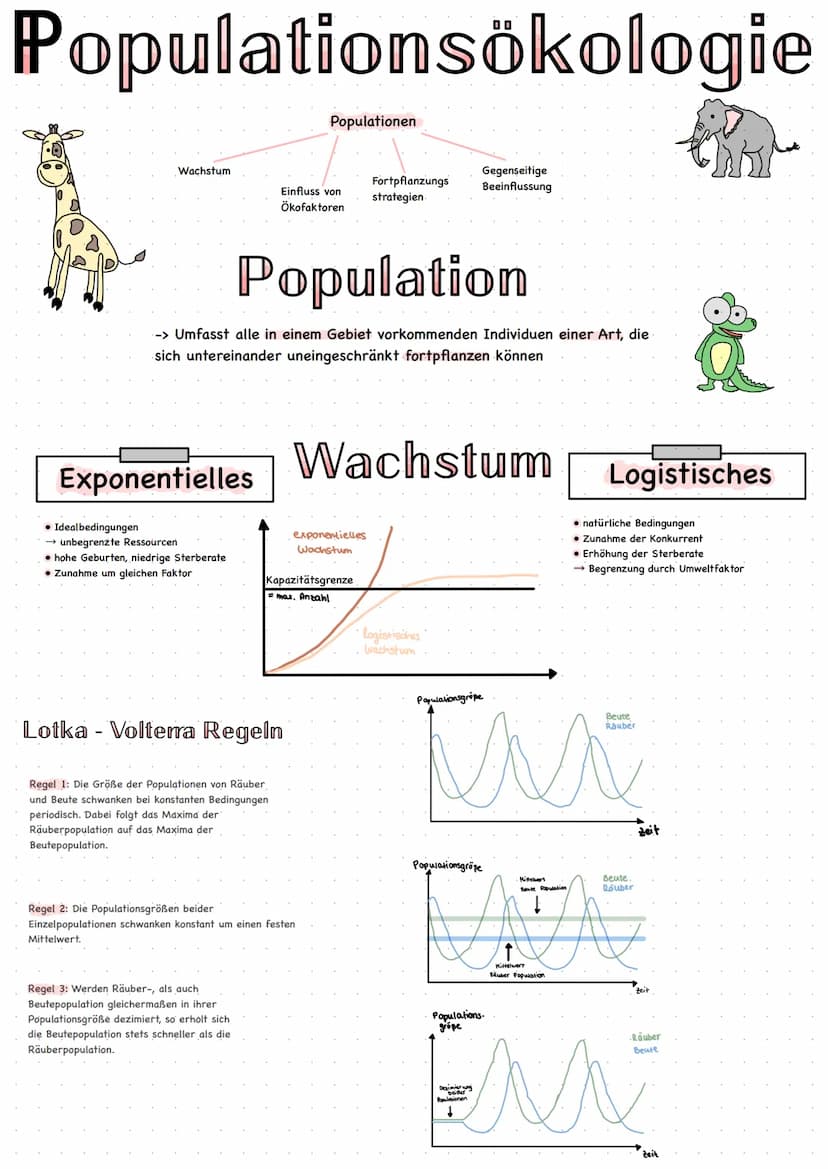 Populationsökologie
r- Strategen
Lebewesen mit großer Nachkommenzahl bzw. hoher
Wachstumsrate r. ihrer Populationen und oft kurzer
Lebensdau
