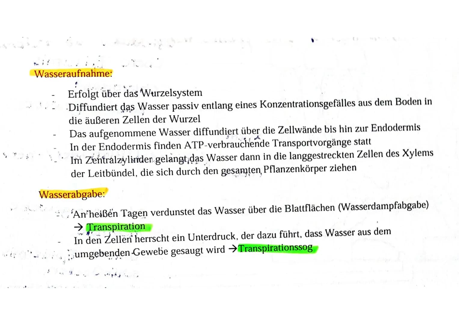 Wasser
und
Stofftransport
verso
Schliepcellen
WA
Xylem
Phloem
in
Spaltöffnung: Kohlenstoffdioxid regulation
Atem hohle
am
Leitbündel/Blattad