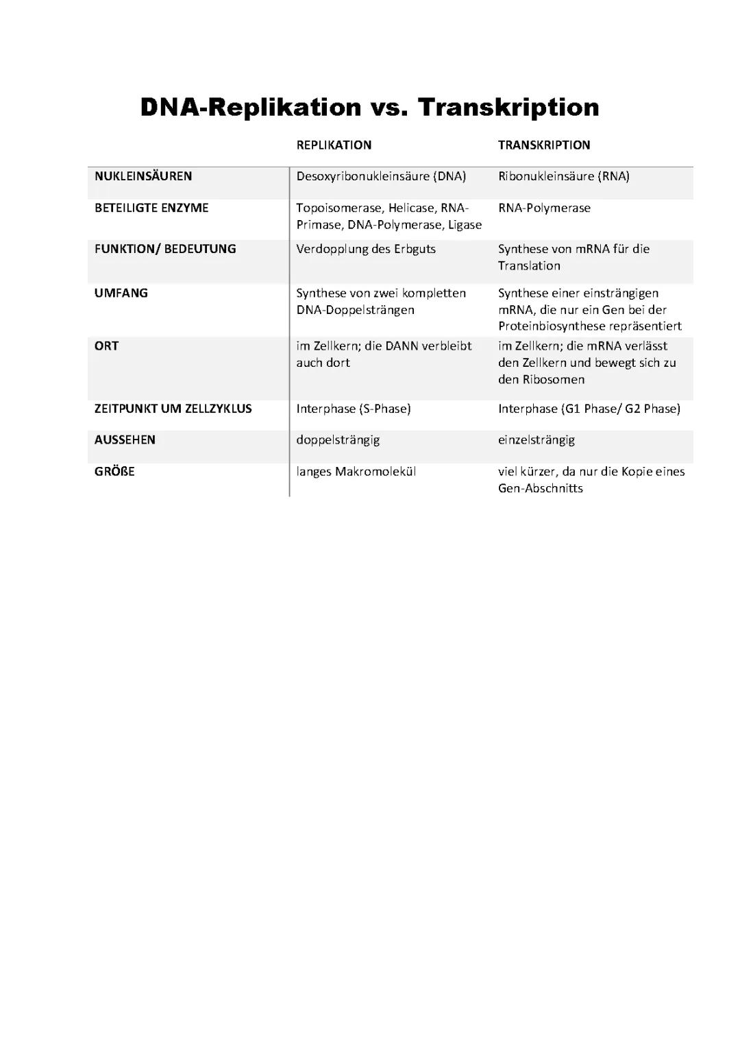 DNA-Replikation und Transkription im Vergleich - Tabelle, Unterschiede und Gemeinsamkeiten