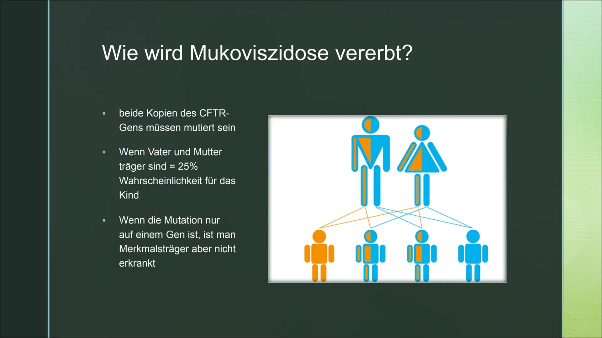 Von Fabienne Frentzen
Mukoviszidose ■
■
■
Was ist Mukoviszidose?
Wie wird Mukoviszidose vererbt?
Allgemeines Krankheitsbild
Welche Organe si