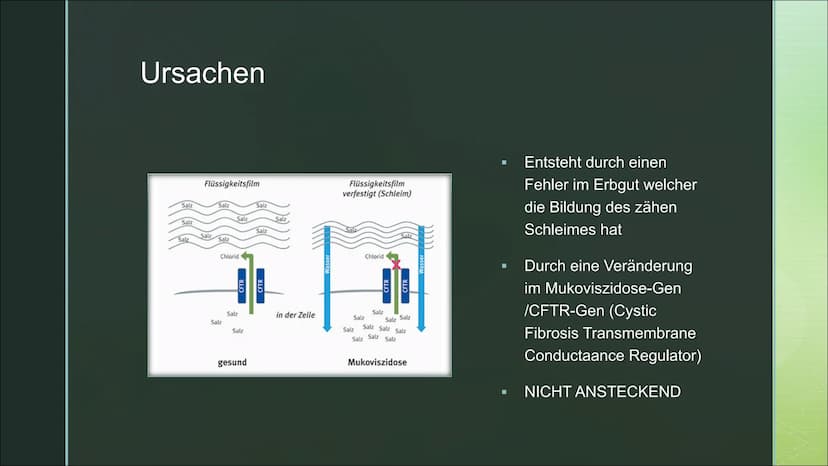 Von Fabienne Frentzen
Mukoviszidose ■
■
■
Was ist Mukoviszidose?
Wie wird Mukoviszidose vererbt?
Allgemeines Krankheitsbild
Welche Organe si