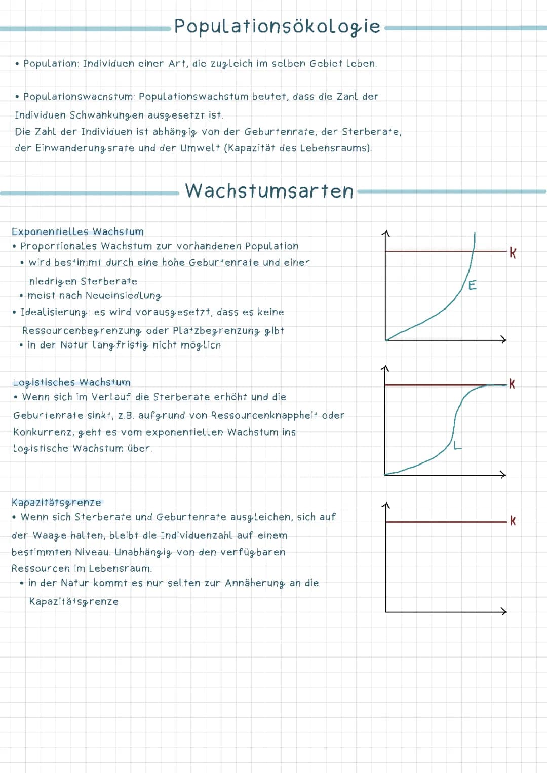 Populationswachstum