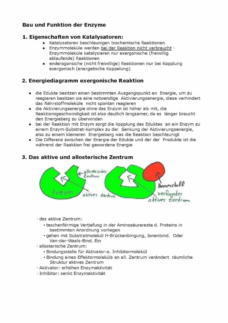Know Enzyme Biologie thumbnail