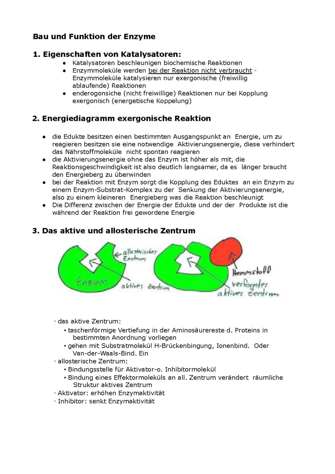 Enzyme Biologie