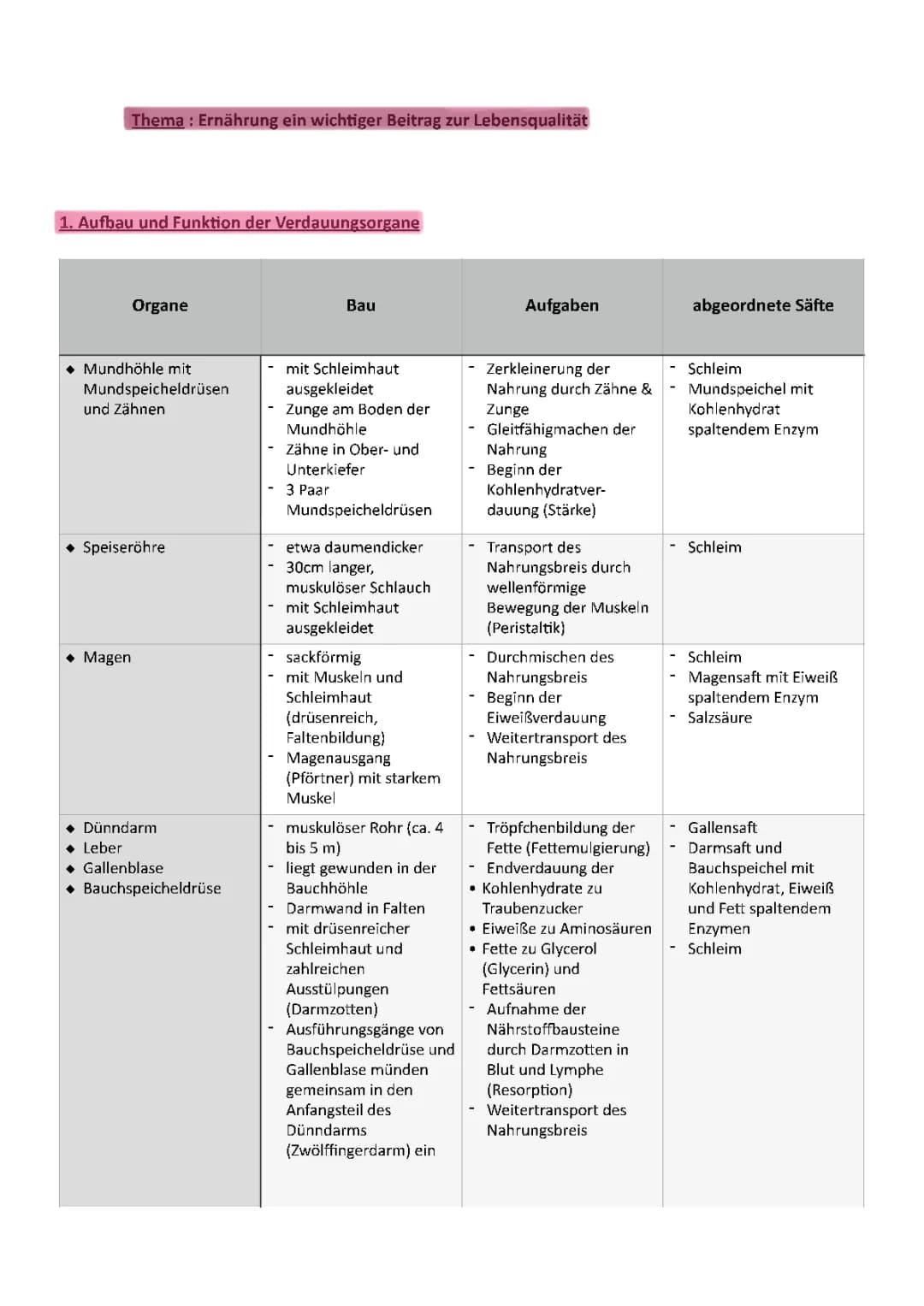 Verdauungsorgane und Immunsystem einfach erklärt: Tabellen und Arbeitsblätter