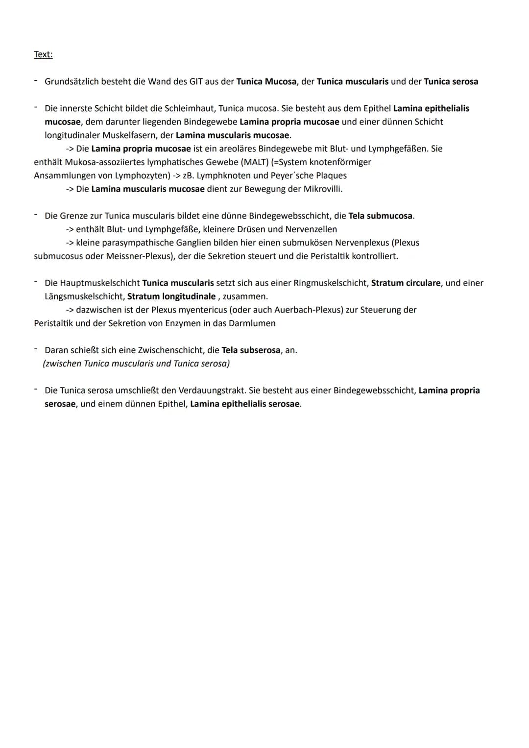 Thema: Ernährung ein wichtiger Beitrag zur Lebensqualität
1. Aufbau und Funktion der Verdauungsorgane
Organe
◆ Mundhöhle mit
Mundspeicheldrü