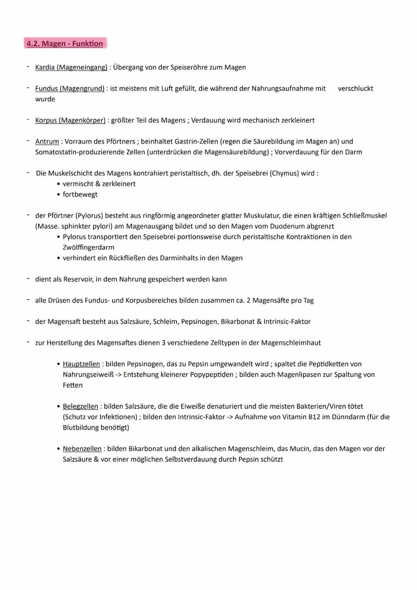 Thema: Ernährung ein wichtiger Beitrag zur Lebensqualität
1. Aufbau und Funktion der Verdauungsorgane
Organe
◆ Mundhöhle mit
Mundspeicheldrü