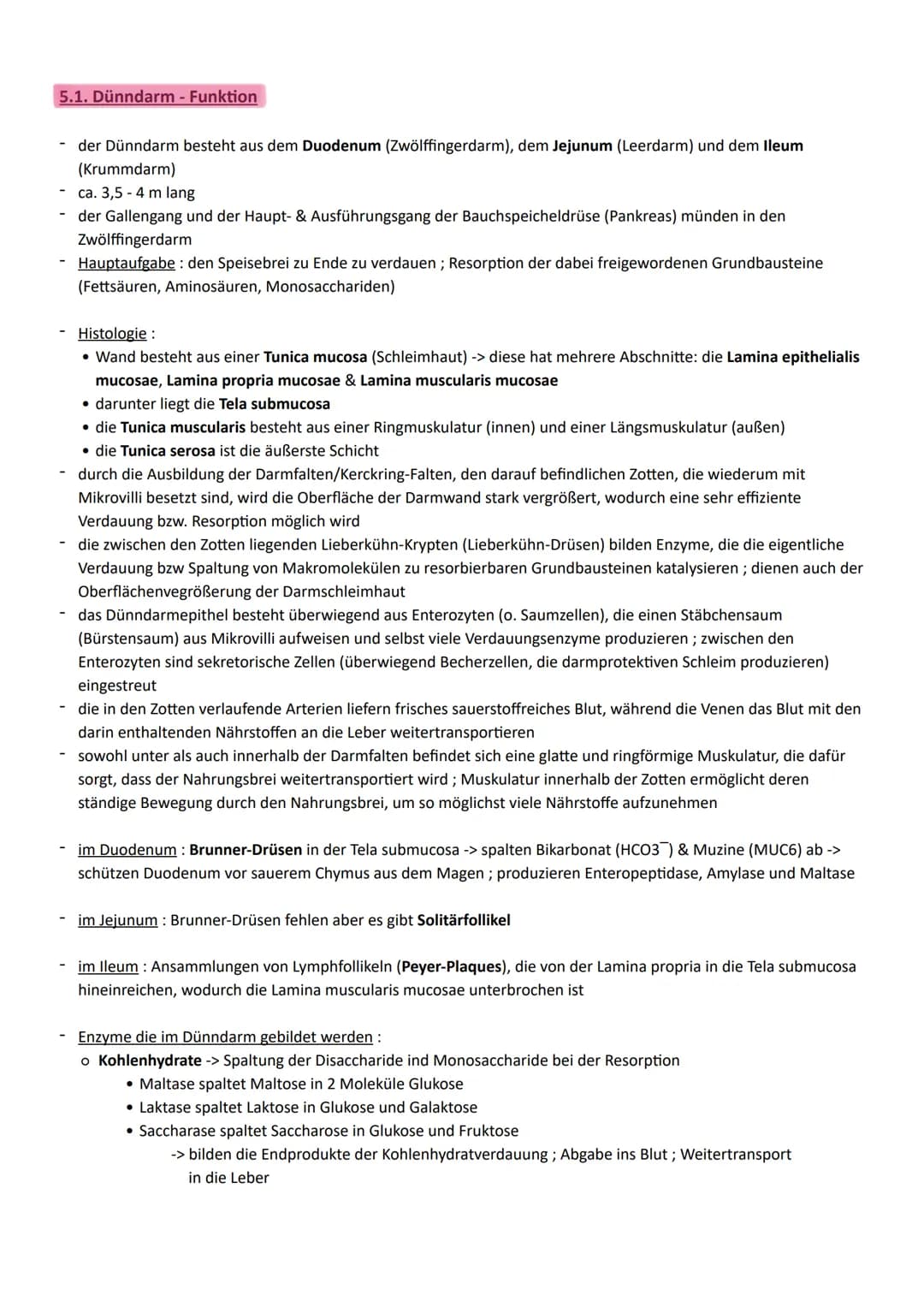 Thema: Ernährung ein wichtiger Beitrag zur Lebensqualität
1. Aufbau und Funktion der Verdauungsorgane
Organe
◆ Mundhöhle mit
Mundspeicheldrü