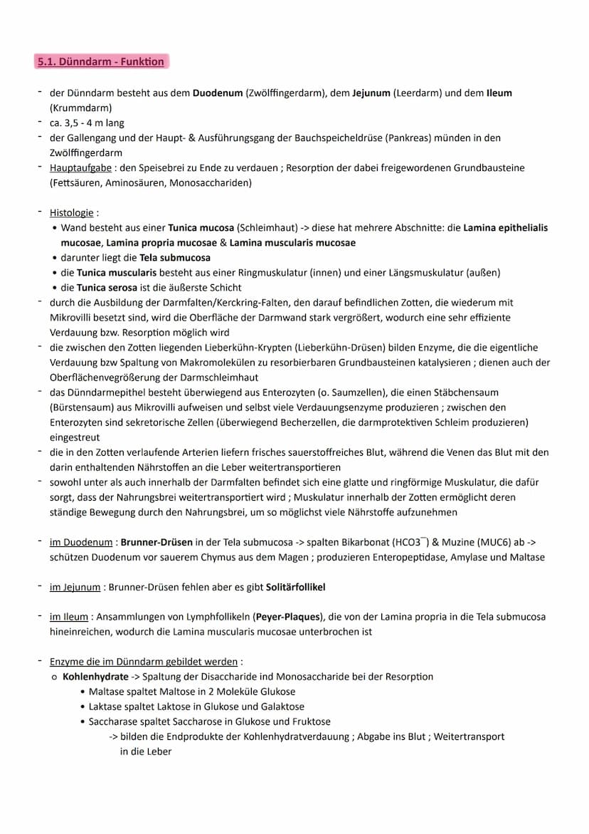 Thema: Ernährung ein wichtiger Beitrag zur Lebensqualität
1. Aufbau und Funktion der Verdauungsorgane
Organe
◆ Mundhöhle mit
Mundspeicheldrü