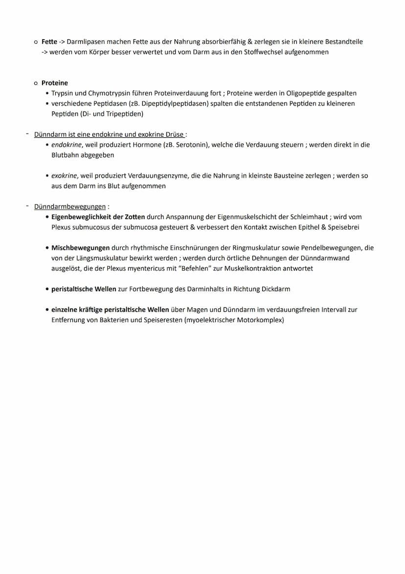 Thema: Ernährung ein wichtiger Beitrag zur Lebensqualität
1. Aufbau und Funktion der Verdauungsorgane
Organe
◆ Mundhöhle mit
Mundspeicheldrü