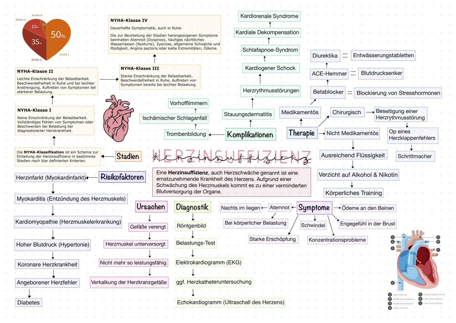 NYHA 4
NYHA 3
```
10%
50%
35%
```
NYHA 1
NYHA 2
NYHA-Klasse IV
Dauerhafte Symptomatik, auch in Ruhe.

Die zur Beurteilung der Stadien herang
