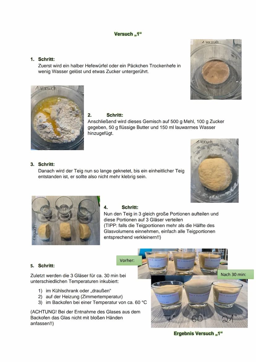 KLN Biologie/ Stephanie Mandernach HP1
1. Recherchiere 3 verschiedene Rezepte zur Herstellung von Hefeteig (z.B. für Brot,
Kuchen, Pizza, ..