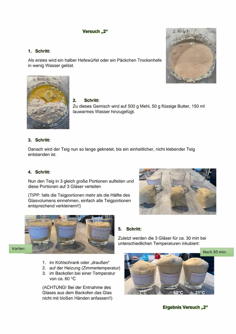 KLN Biologie/ Stephanie Mandernach HP1
1. Recherchiere 3 verschiedene Rezepte zur Herstellung von Hefeteig (z.B. für Brot,
Kuchen, Pizza, ..