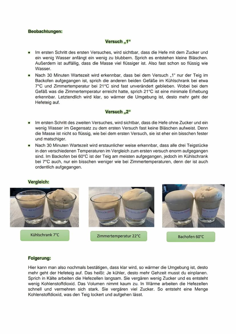 KLN Biologie/ Stephanie Mandernach HP1
1. Recherchiere 3 verschiedene Rezepte zur Herstellung von Hefeteig (z.B. für Brot,
Kuchen, Pizza, ..