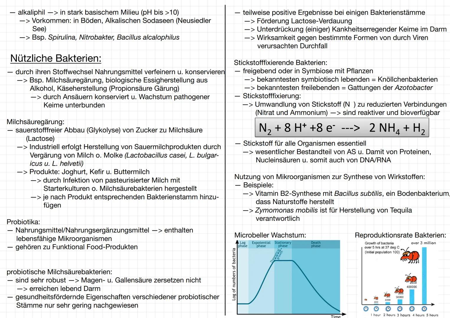 MIKROBIOLOGIE
Bakterien:
Mikroorganismen:
-> Mikroorganismen ist ein Sammelbegriff für Kleinlebewesen, die
meistens aus einer Zelle bestehen