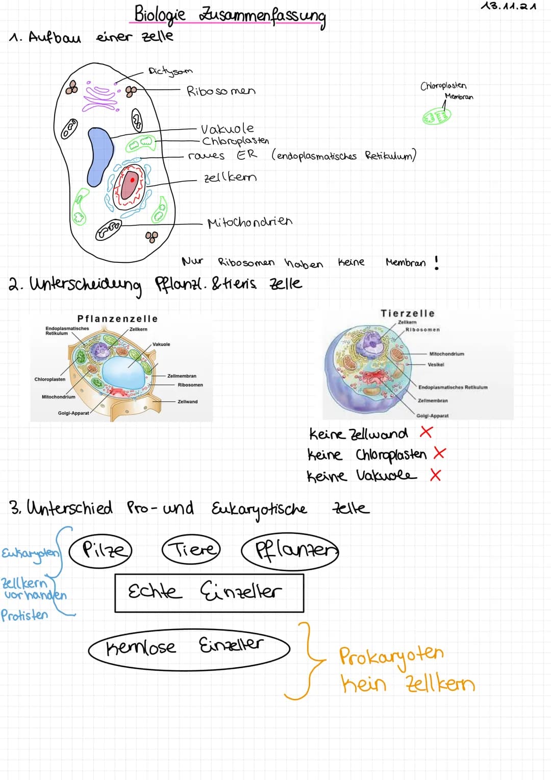1. Aufbau einer zelle
Endoplasmatisches
Retikulum
Chloroplasten
Mitochondrium
Biologie Zusammenfassung
Golgi-Apparat
Nur
Ribosomen haben.
2.