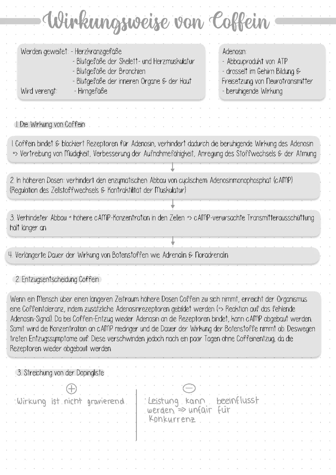 Wirkungsweise von Coffein