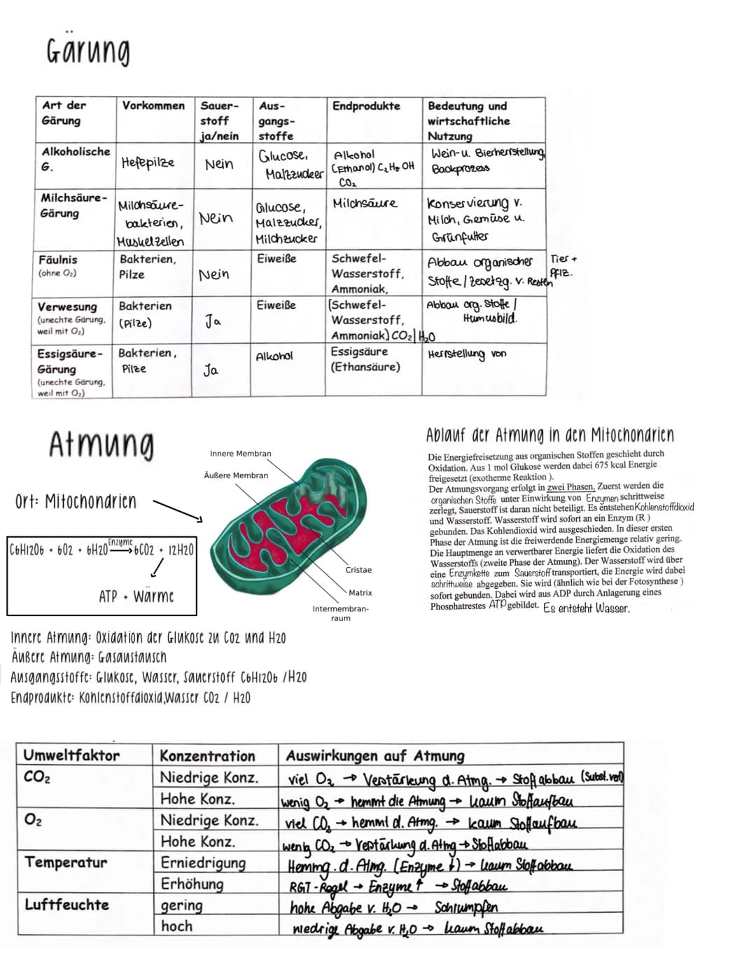 =
Aufnahme von Stoffen und Energie aus der Umwelt, ihre Umwandlung in den Korperzellen sowie die Abgabe von Stoffen und Energien an die Umwe