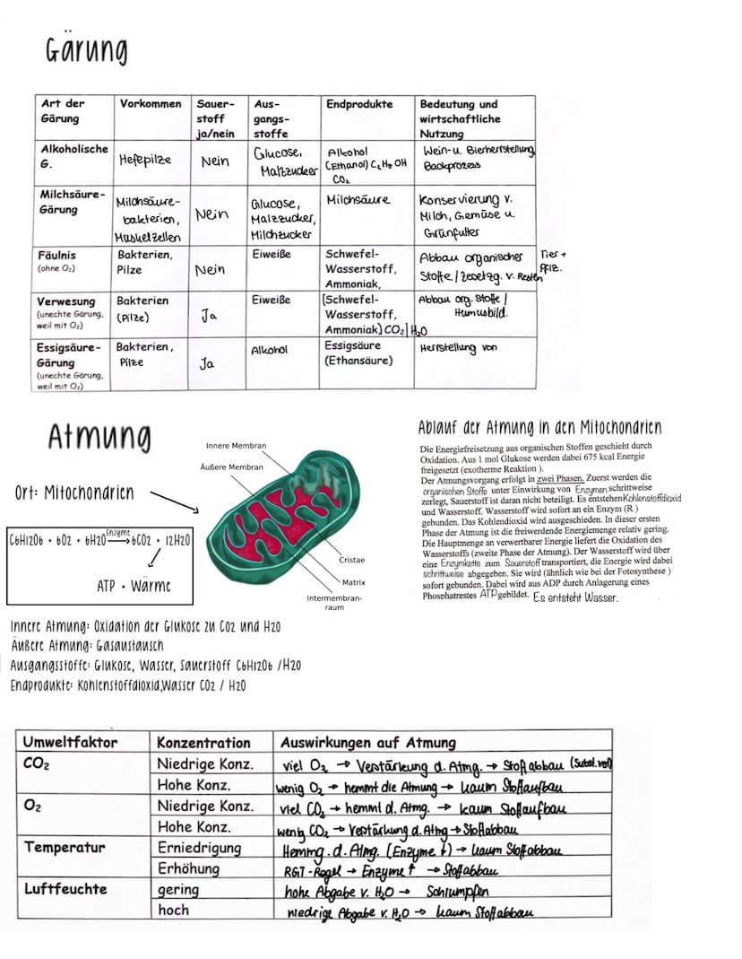 =
Aufnahme von Stoffen und Energie aus der Umwelt, ihre Umwandlung in den Korperzellen sowie die Abgabe von Stoffen und Energien an die Umwe