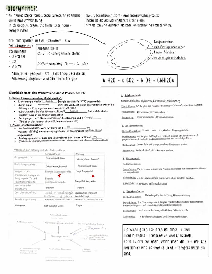 =
Aufnahme von Stoffen und Energie aus der Umwelt, ihre Umwandlung in den Korperzellen sowie die Abgabe von Stoffen und Energien an die Umwe