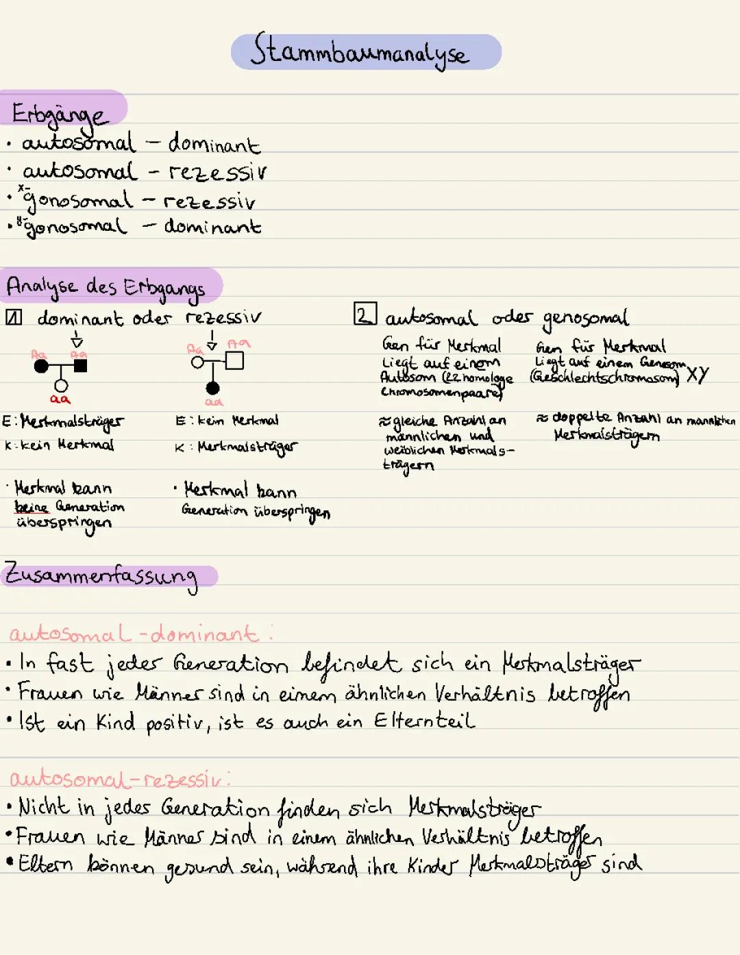 Einfache Stammbaumanalyse: Autosomal und Gonosomal erklärt