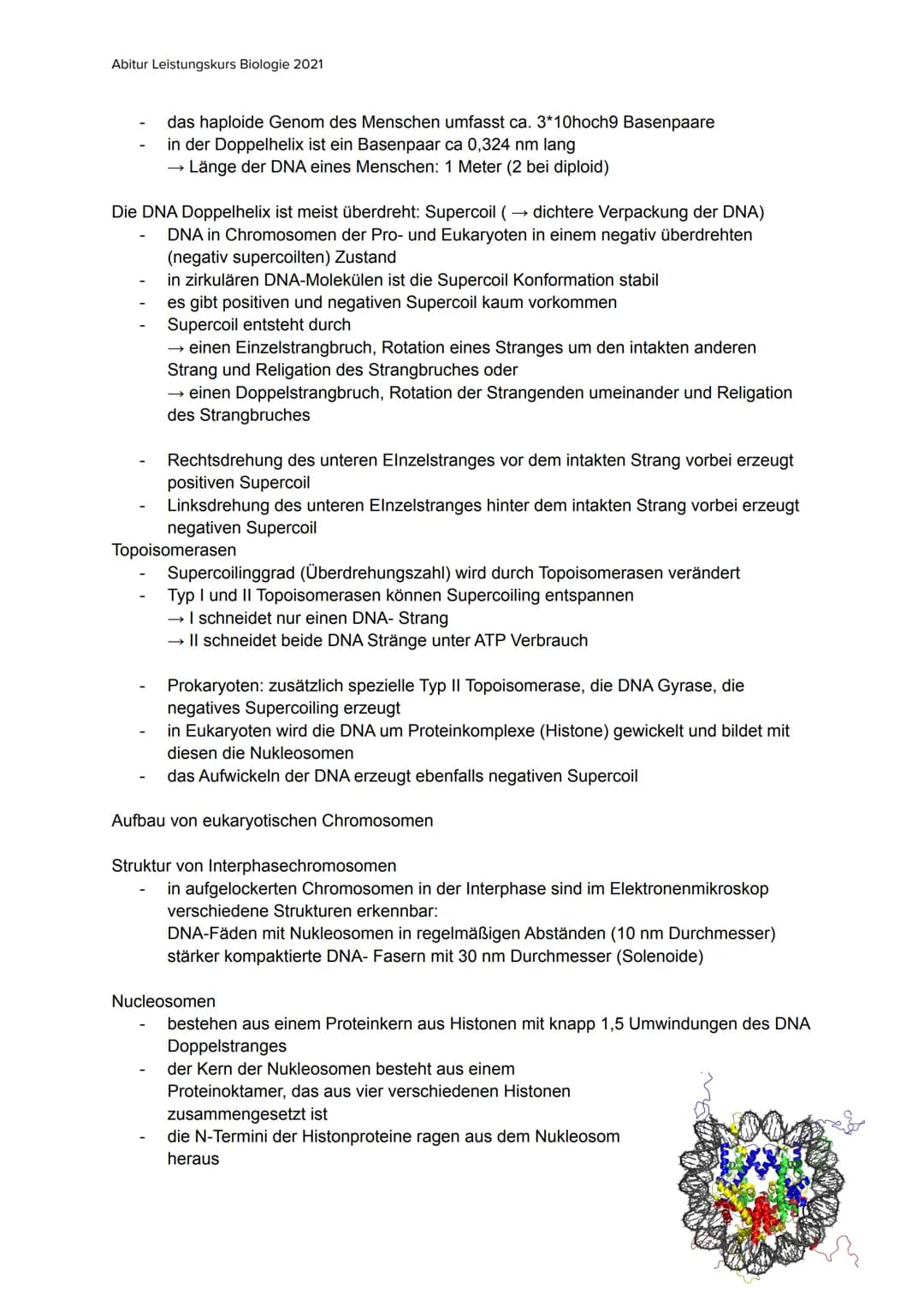 Abitur Leistungskurs Biologie 2021
GENETIK(Q3)
,,Grundlagen und Anwendungsfelder der Genetik"
offizielle Prüfungsschwerpunkte:
RNA, DNA, Chr