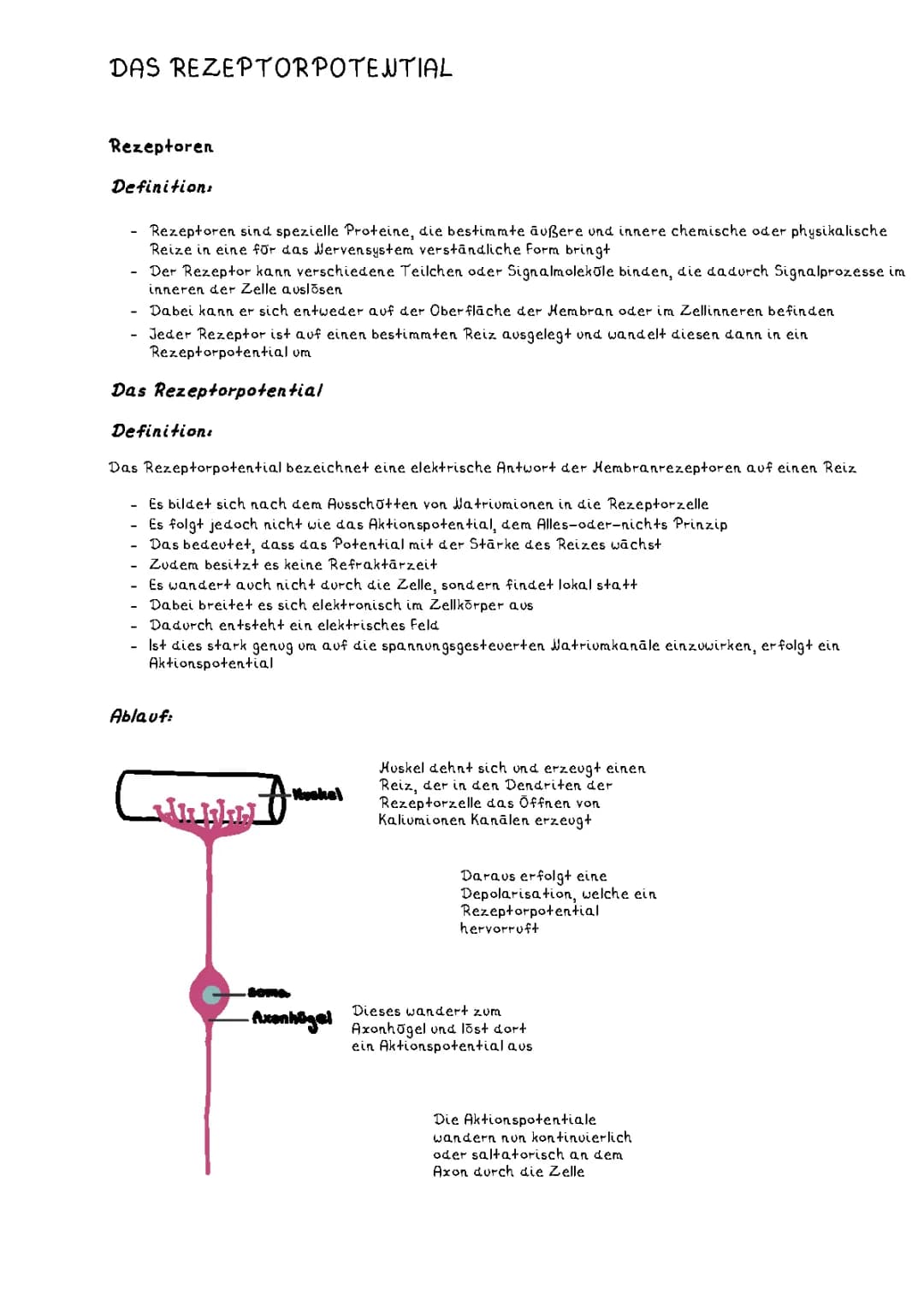 Rezeptorpotentiale