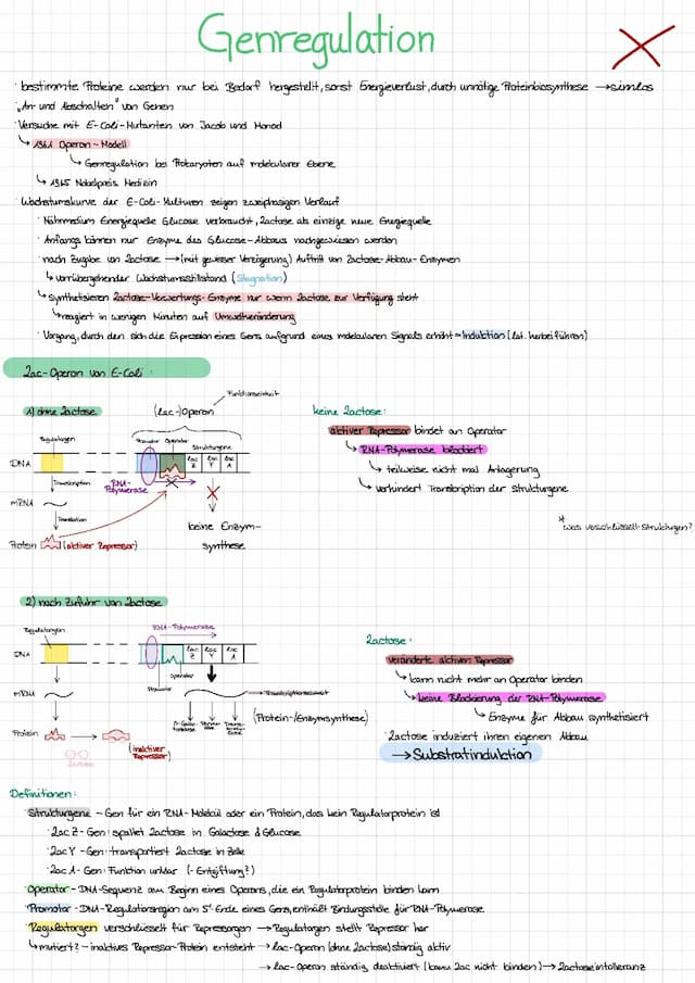 Know Genregulation Prokaryoten thumbnail