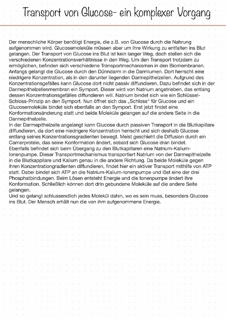 Know Transport von Glucose thumbnail