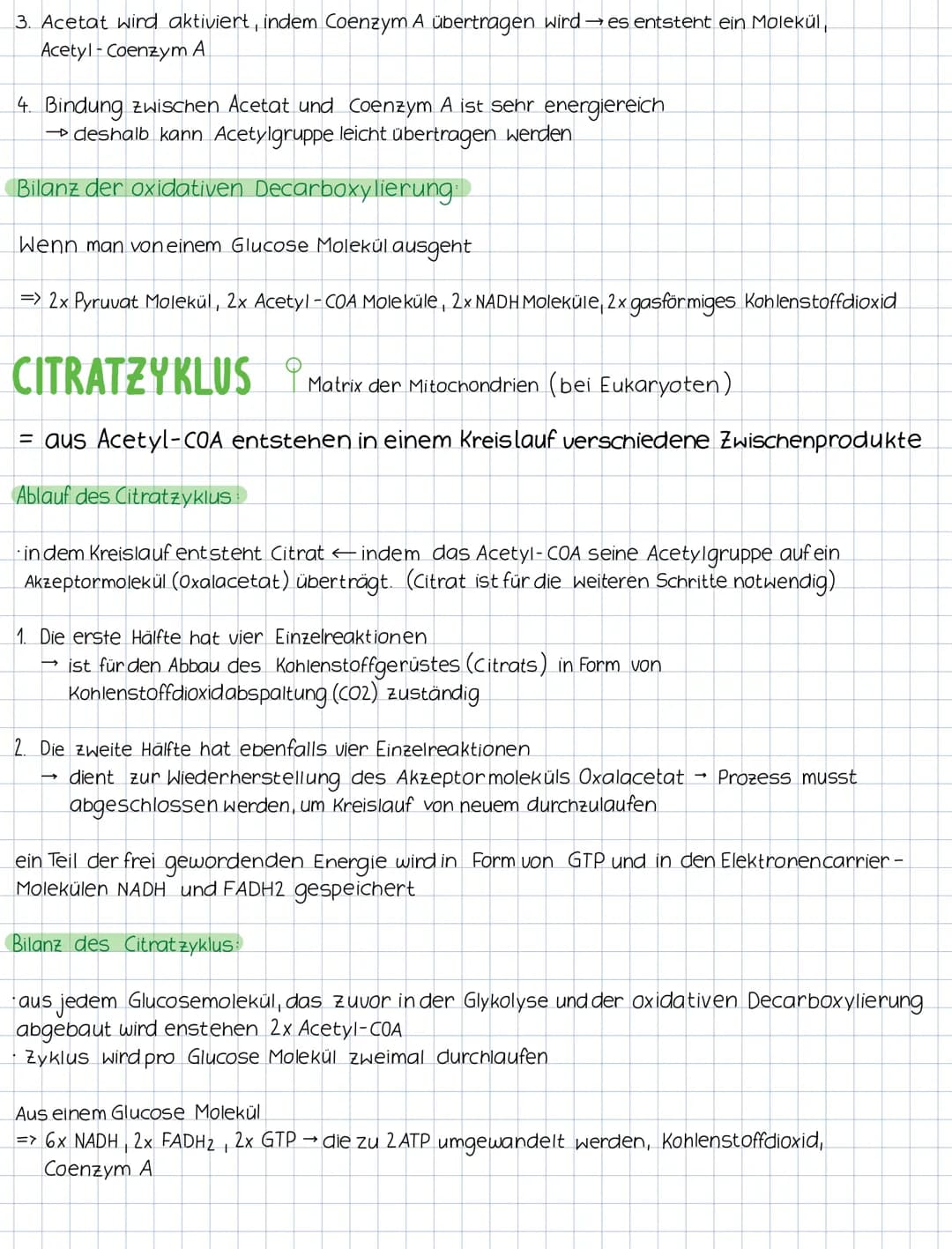 KATABOLER STOFFWECHSEL abbauender Stoffwechsel
= konzentriert sich auf den Abbau von Molekülen und die Freisetzung von Energie
(stenende Pro