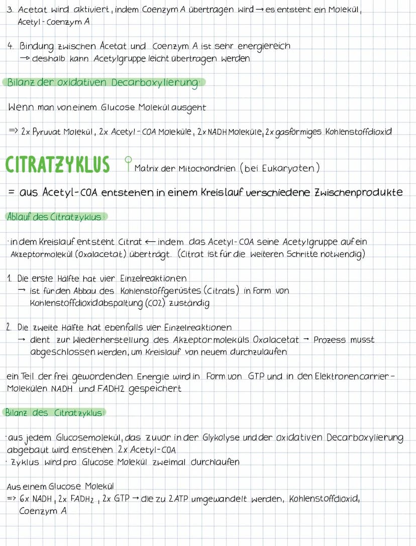 KATABOLER STOFFWECHSEL abbauender Stoffwechsel
= konzentriert sich auf den Abbau von Molekülen und die Freisetzung von Energie
(stenende Pro
