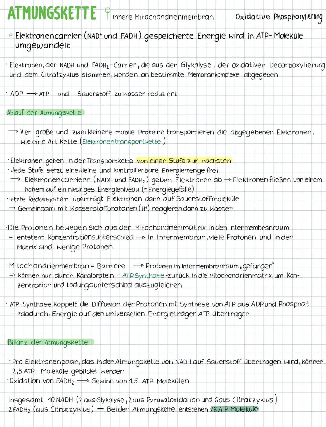 KATABOLER STOFFWECHSEL abbauender Stoffwechsel
= konzentriert sich auf den Abbau von Molekülen und die Freisetzung von Energie
(stenende Pro