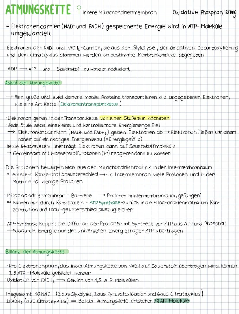 KATABOLER STOFFWECHSEL abbauender Stoffwechsel
= konzentriert sich auf den Abbau von Molekülen und die Freisetzung von Energie
(stenende Pro