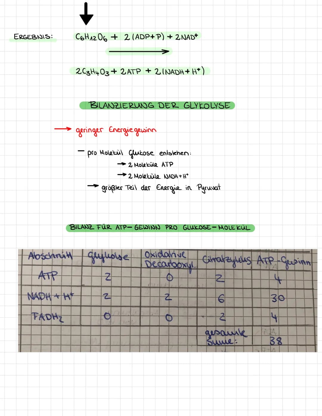 ATP
ADP
ATP)
ADP
NAD+
NADH+H
ADP
AT
ADP
ATP
GLYKOLYSE
Abbau von glukose
Glukose
Phosphoryllierung (Ablagerung
Glukose-6-phosphat
↓ umwandlun