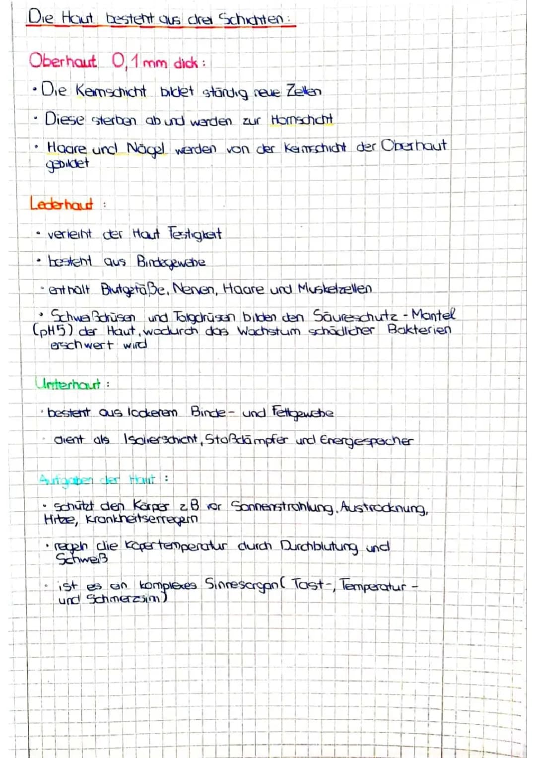 Die Haut