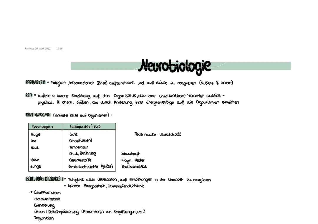 Neurobiologie