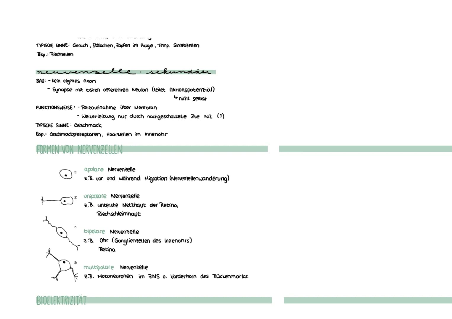 Montag, 26. April 2021 16:36
Neurobiologie
REIZBARKEIT = Fähigkeit, Informationen (Reize) aufzunehmen und auf diese zu reagieren (äußere & i