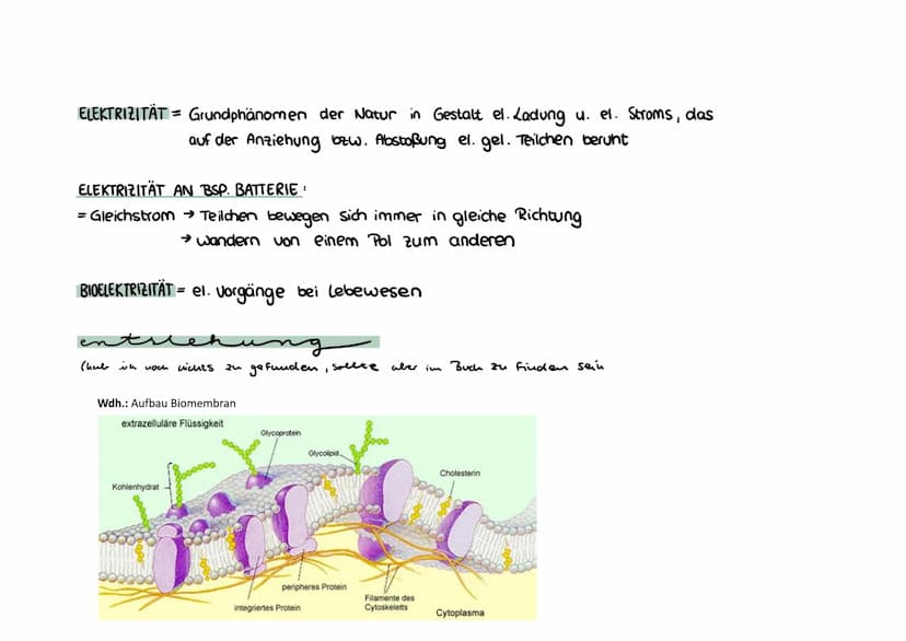 Montag, 26. April 2021 16:36
Neurobiologie
REIZBARKEIT = Fähigkeit, Informationen (Reize) aufzunehmen und auf diese zu reagieren (äußere & i
