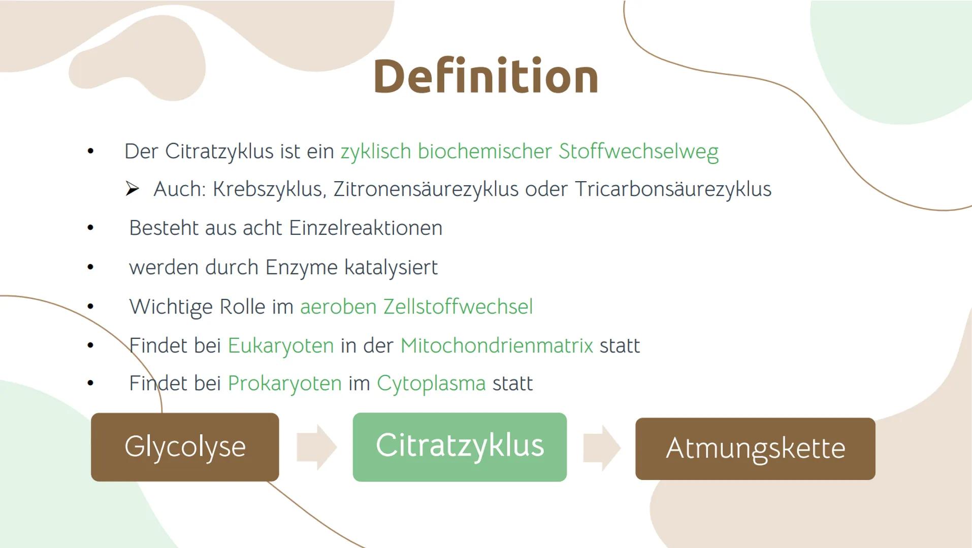 # Der Citratzyklus

von . Geschichtlicher Hintergrund:
O Entdeckung durch Hans Adolf Krebs, deswegen wird der Citratzyklus auch Krebs-
Zyklu