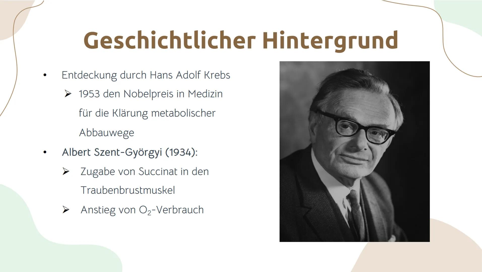 # Der Citratzyklus

von . Geschichtlicher Hintergrund:
O Entdeckung durch Hans Adolf Krebs, deswegen wird der Citratzyklus auch Krebs-
Zyklu