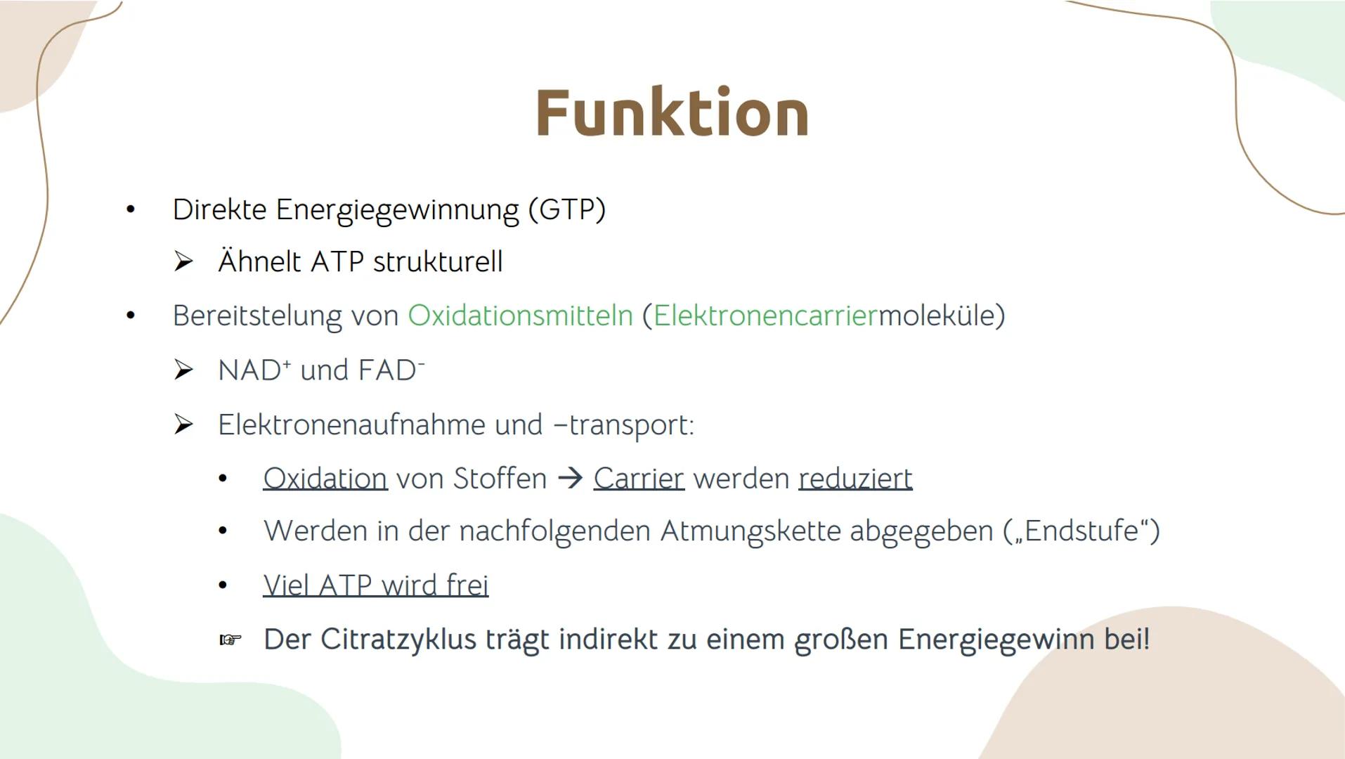 # Der Citratzyklus

von . Geschichtlicher Hintergrund:
O Entdeckung durch Hans Adolf Krebs, deswegen wird der Citratzyklus auch Krebs-
Zyklu