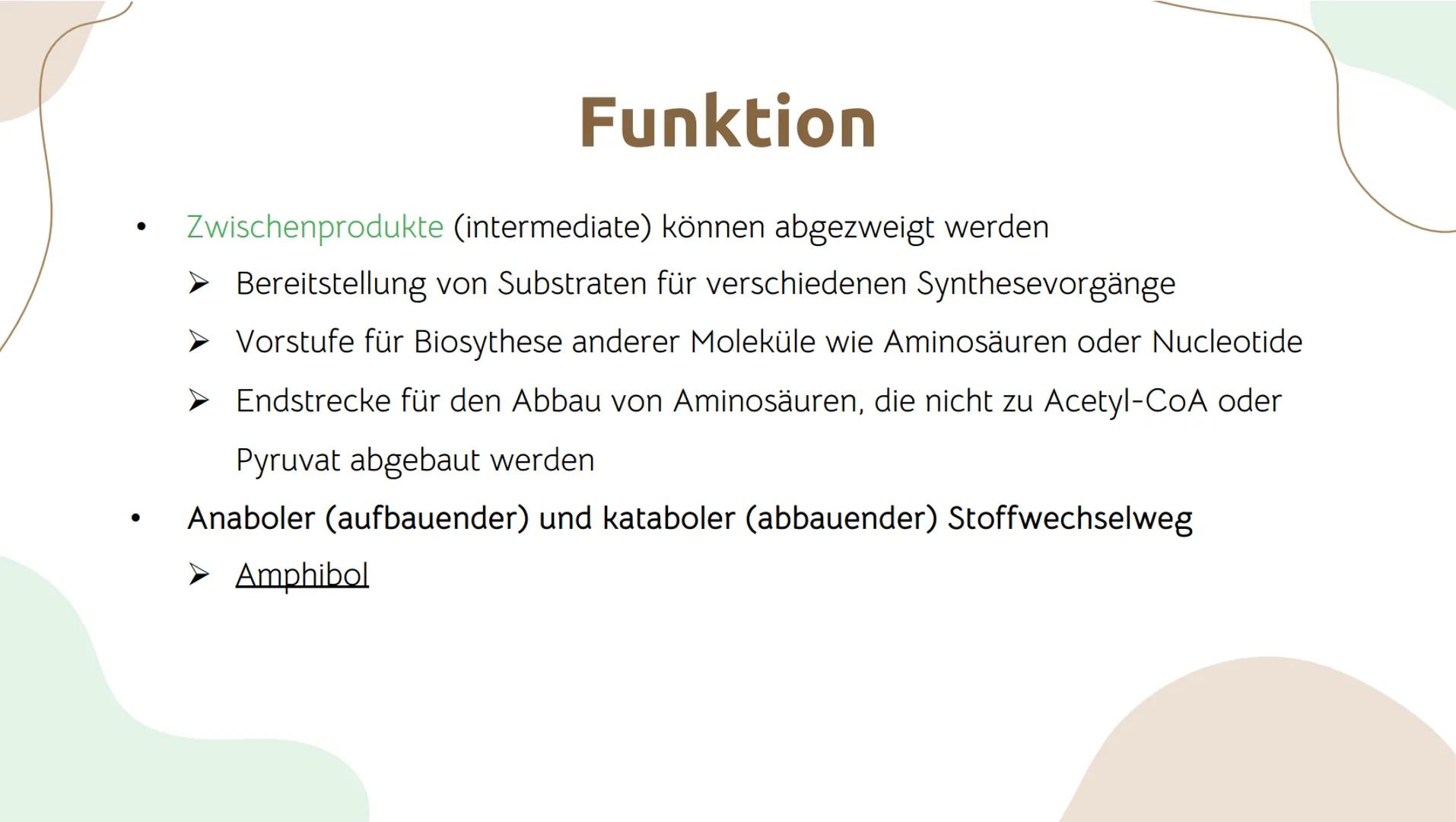 # Der Citratzyklus

von . Geschichtlicher Hintergrund:
O Entdeckung durch Hans Adolf Krebs, deswegen wird der Citratzyklus auch Krebs-
Zyklu