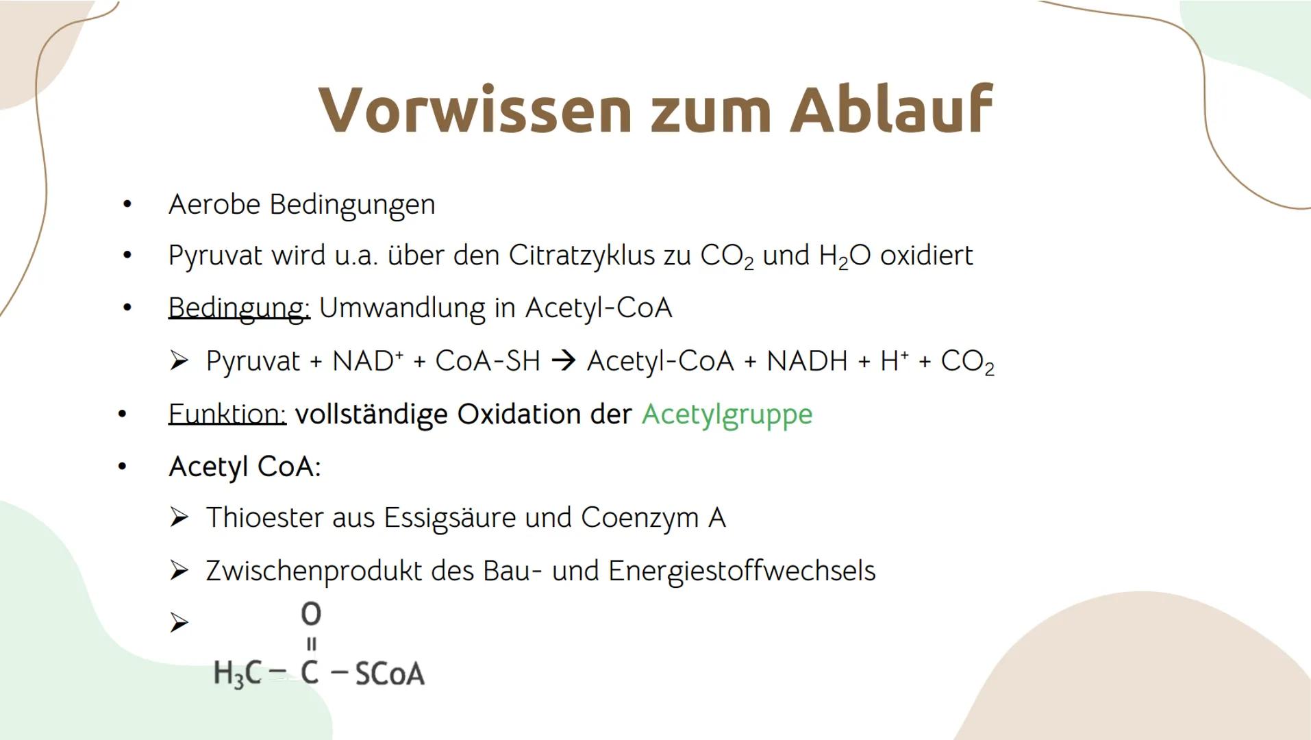 # Der Citratzyklus

von . Geschichtlicher Hintergrund:
O Entdeckung durch Hans Adolf Krebs, deswegen wird der Citratzyklus auch Krebs-
Zyklu