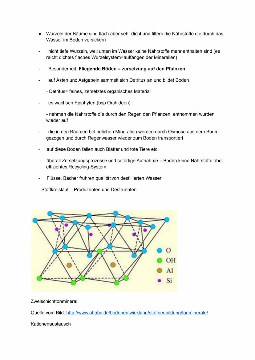 Geografie
Handout Vegetation, Boden und Nährstoffkreislauf
im tropischen Regenwald
Vegetation
Der tropische Regenwald ist die dichteste und 