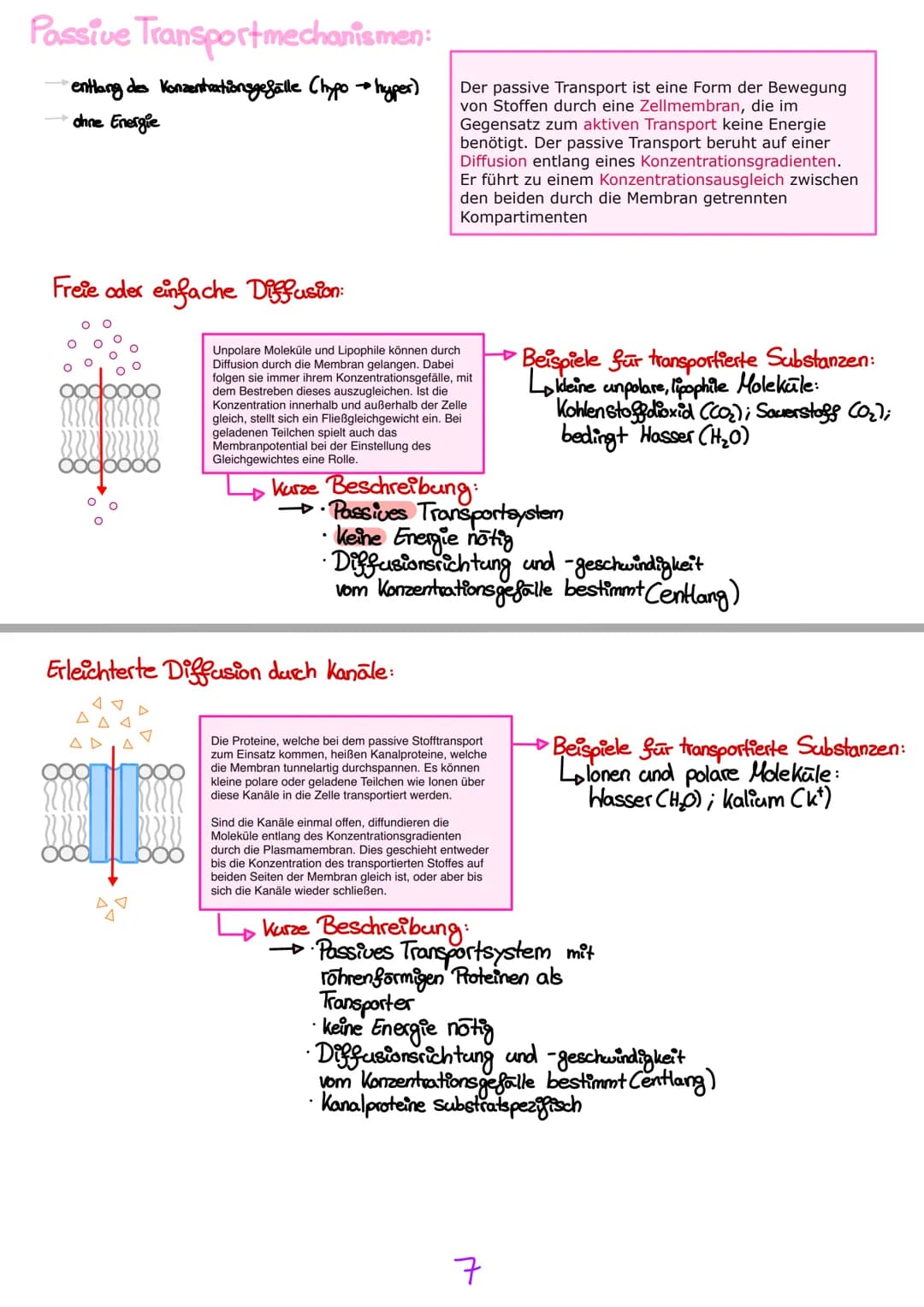 Transportmechanismen:
entlang des Konzentrationsgefalle (hypo → hyper)
ohne Energie
Passive
Freie oder einfache Diffusion:
nan
Der passive T