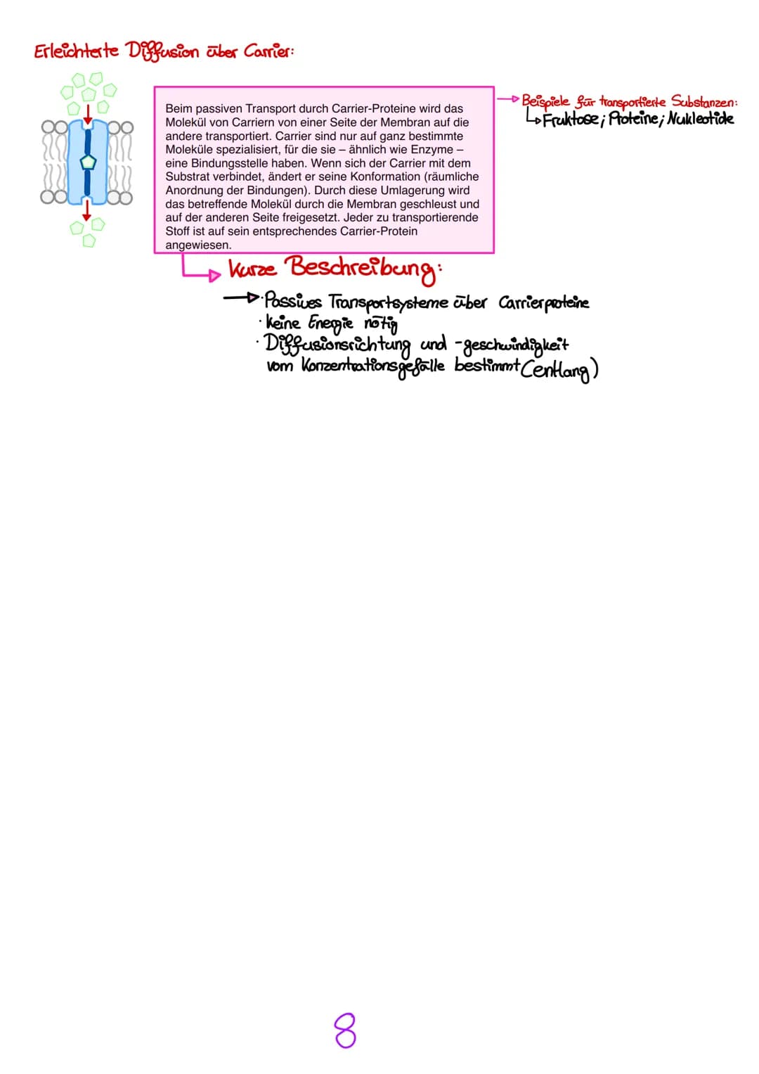Transportmechanismen:
entlang des Konzentrationsgefalle (hypo → hyper)
ohne Energie
Passive
Freie oder einfache Diffusion:
nan
Der passive T