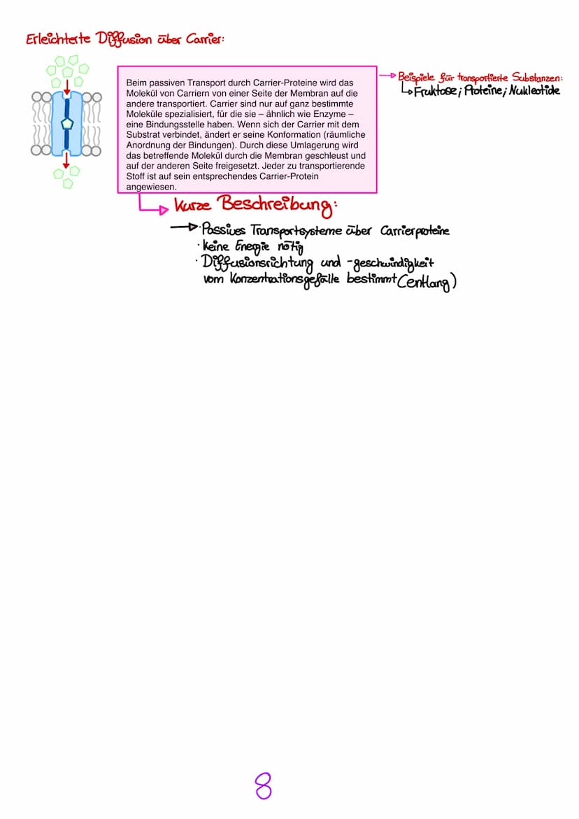 Transportmechanismen:
entlang des Konzentrationsgefalle (hypo → hyper)
ohne Energie
Passive
Freie oder einfache Diffusion:
nan
Der passive T