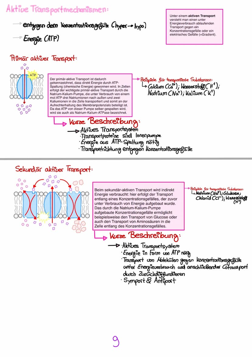 Transportmechanismen:
entlang des Konzentrationsgefalle (hypo → hyper)
ohne Energie
Passive
Freie oder einfache Diffusion:
nan
Der passive T