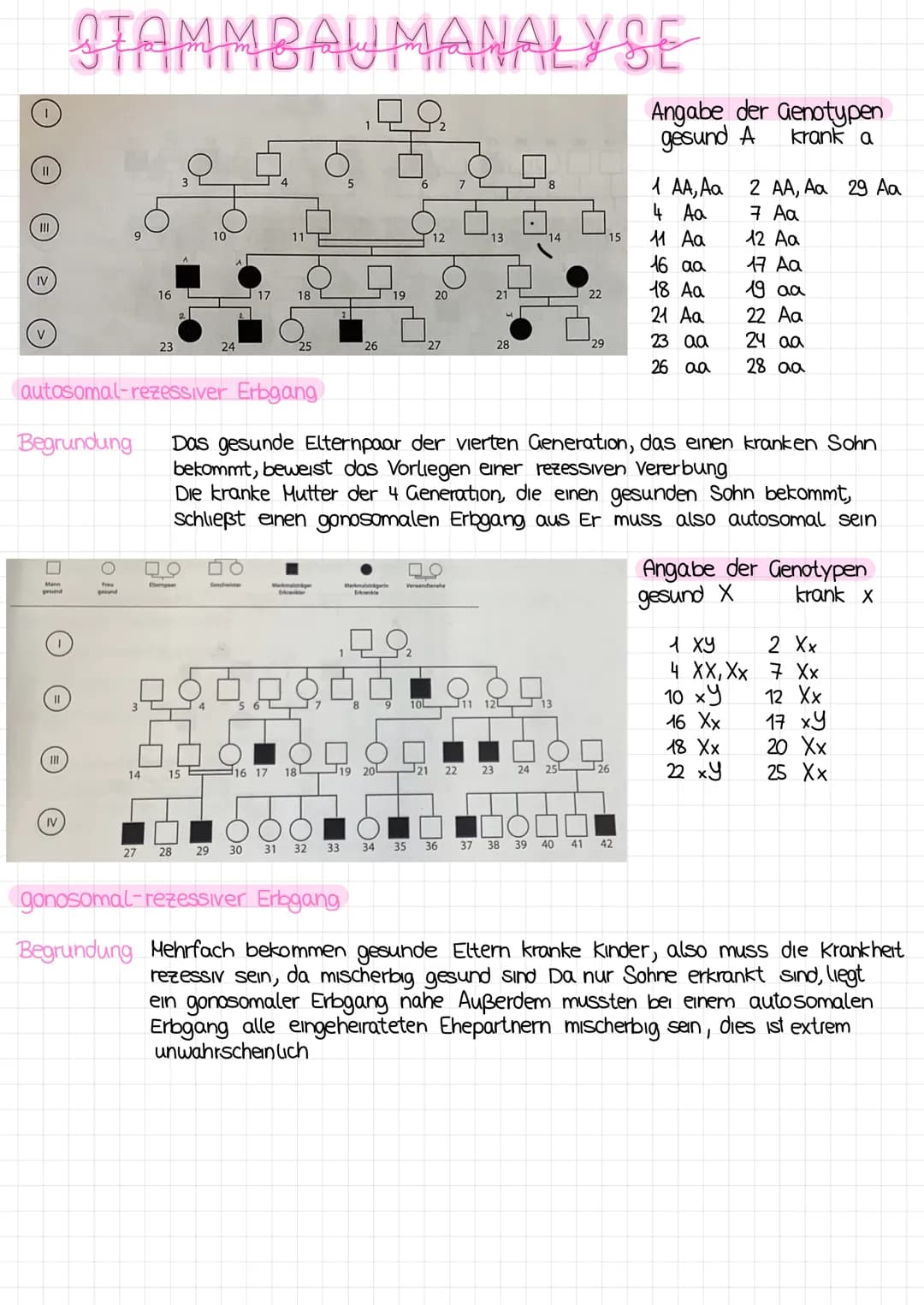 Stammbaumanalyse ALLGEMEINES
Genotyp-Buchstaben
dominant - Großbuchstabe
rezessiv=Kleinbuchstabe
dominanter Erbgang= Auftreten d Krankheit i